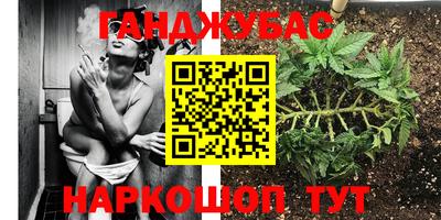 мяу мяу мука Бузулук