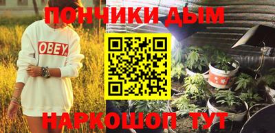прущие грибы Будённовск