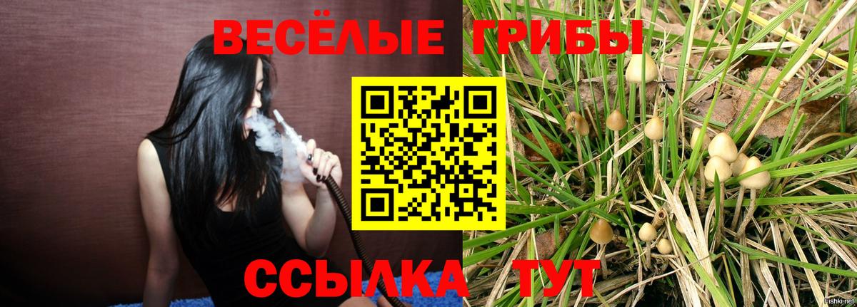 Галлюциногенные грибы ЛСД  Вход с VPN  Майский 