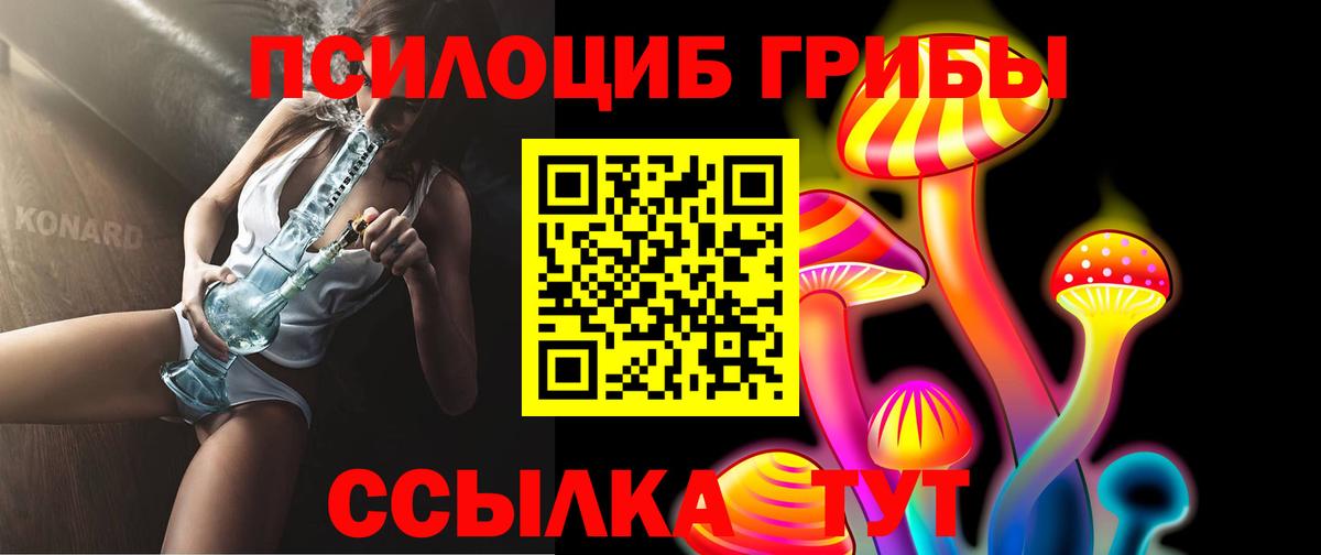 Галлюциногенные грибы Psilocybe Майский